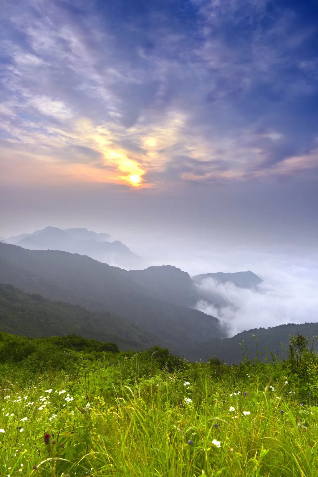 对北京还有哪些了解,了解过真正的北京吗