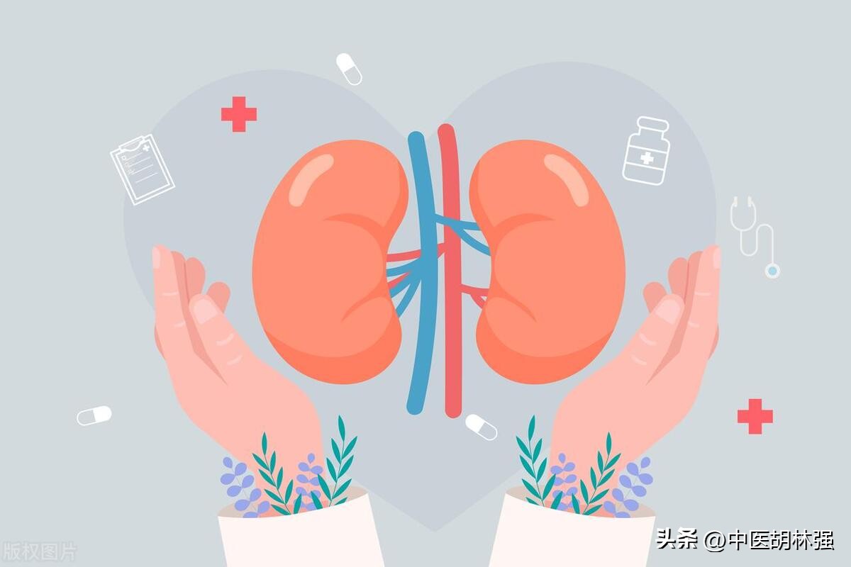 脾不好气血差怎么办,脾不好总有痰