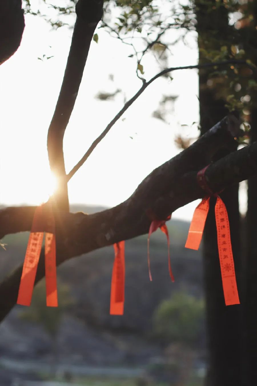 时间雅称大全,时间的别称雅称