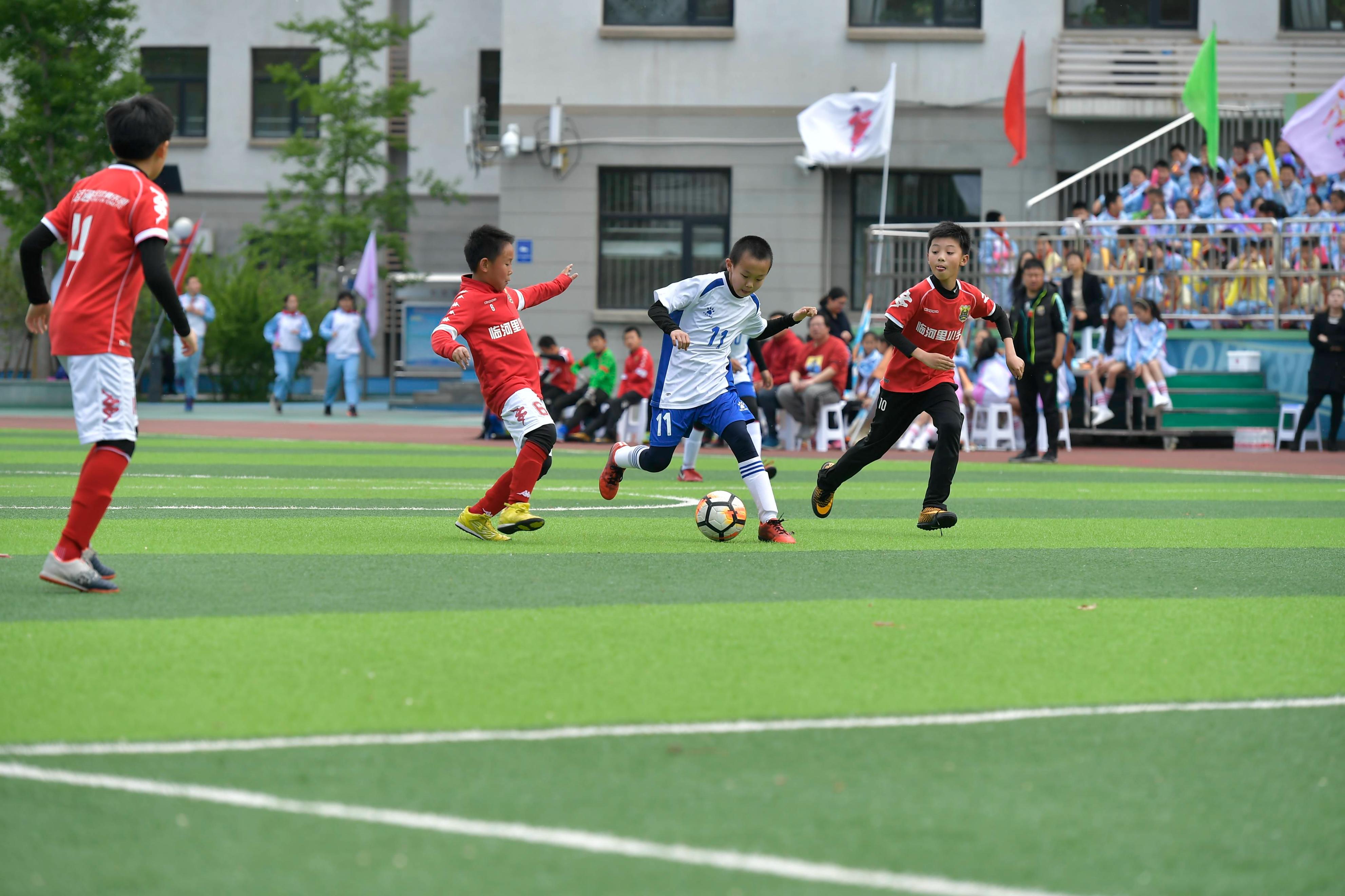 免充草坪和填充草坪区别,足球草坪填充石英砂目的是什么