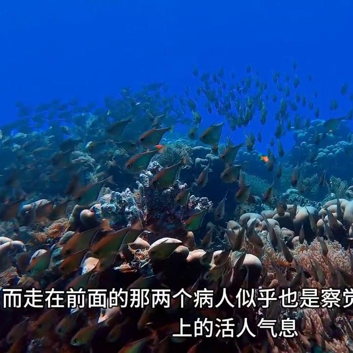 丧尸国度第6季大结局,丧尸国度第一季完整版免费观看