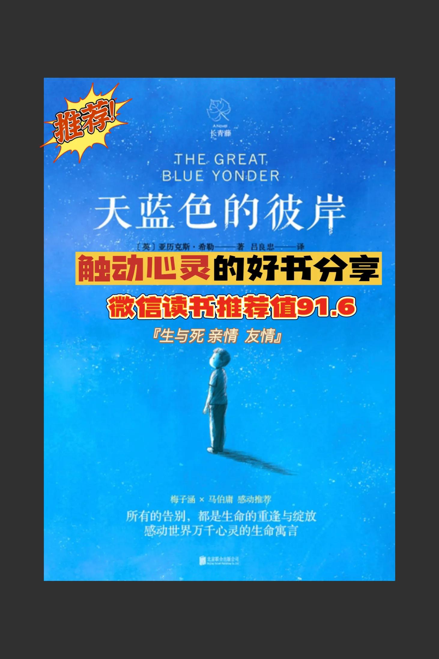 天蓝色的彼岸好书推荐200字,推荐一本书天蓝色的彼岸