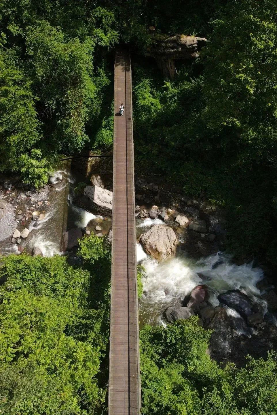 黑竹沟火把节现场视频,黑竹沟晚会