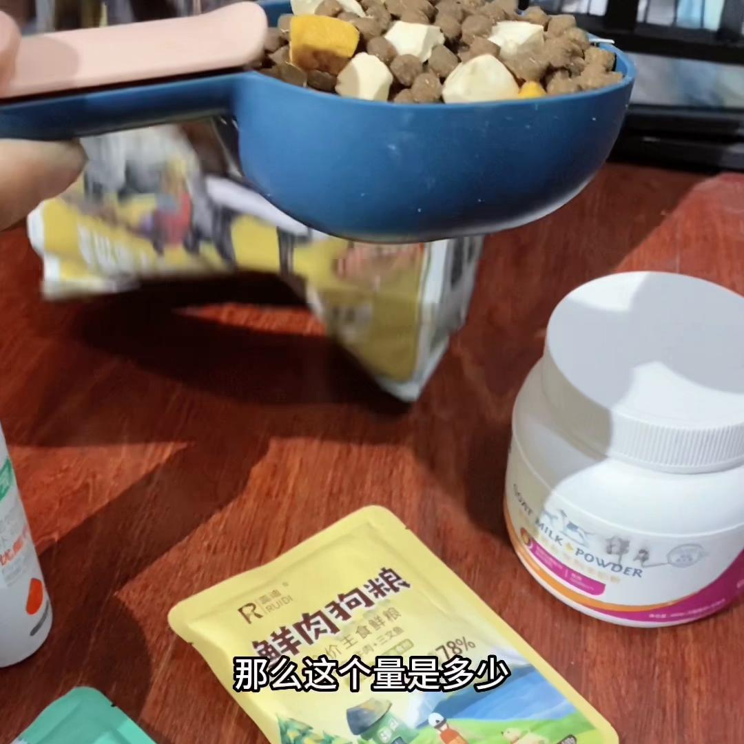 拉布拉多幼犬喂养的最佳方法,拉布拉多幼犬新手怎么喂