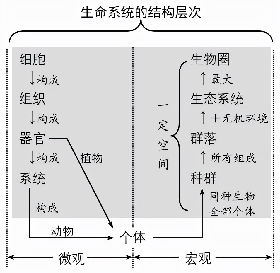 高中生物必修一全部知识点,高中生物必修一第四章第一节