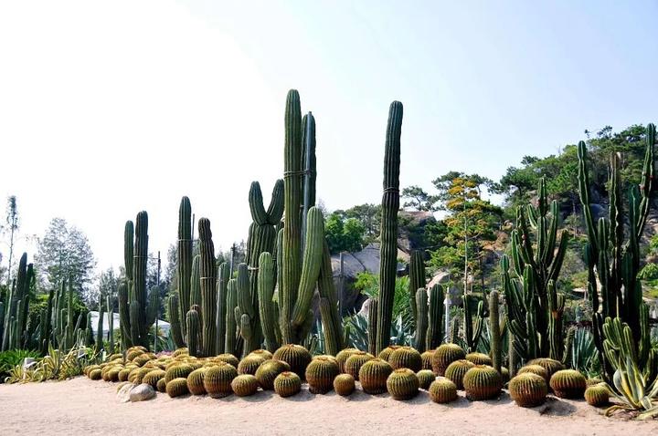 厦门带孩子去哪里玩,厦门带女朋友去哪里玩