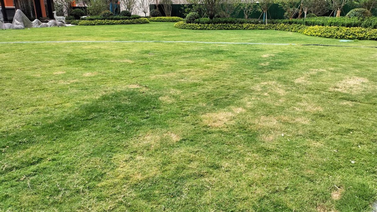 乐富强文宸悦府最近情况,乐富强文宸悦府是小庙吗