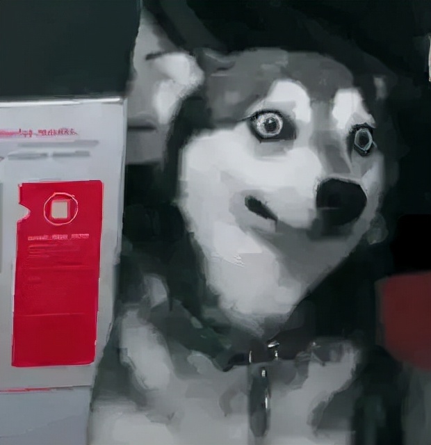 今年的网络热词,近期的网络热词有什么