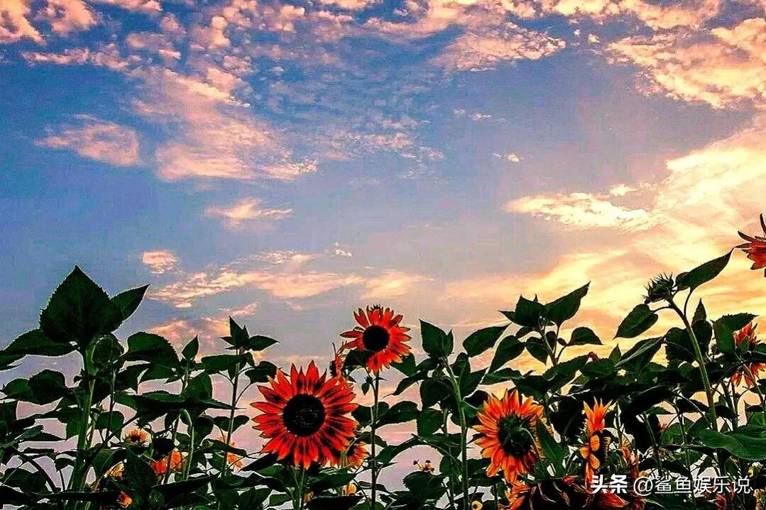 情商低的人说话很经典,逢人就说这三句话是情商低的表现