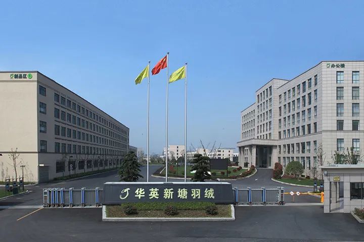 露露乐檬进驻京东,露露乐檬冬奥