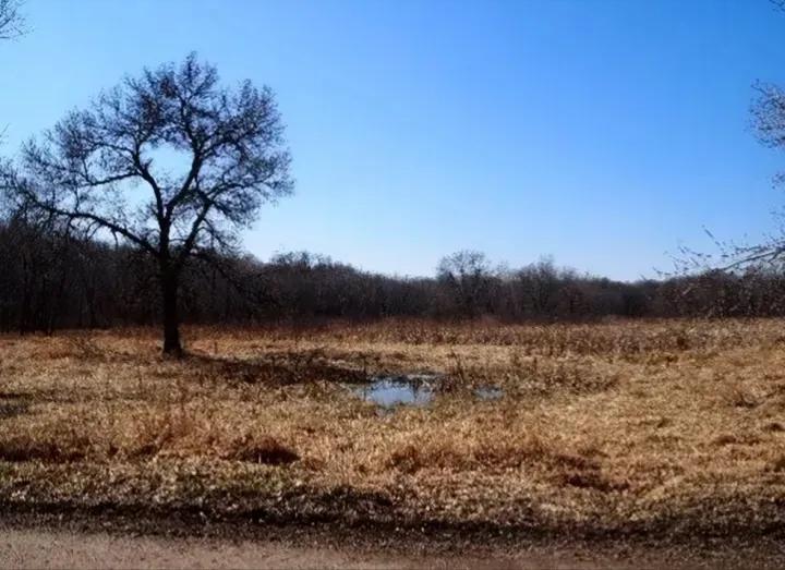 留美中学生绑架虐待案,华裔学生绑架老师