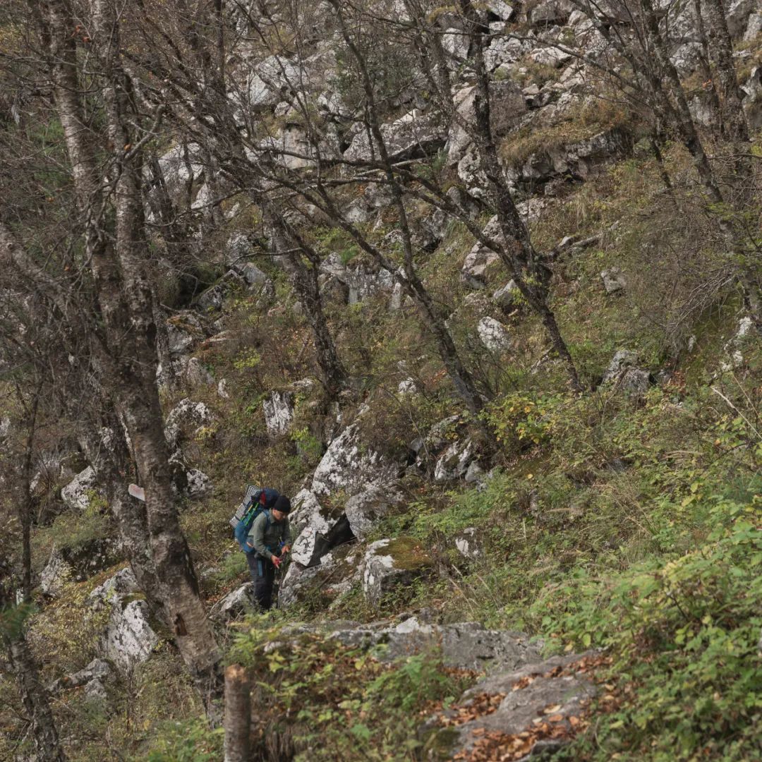 登太白山感受,太白山景区登顶拔仙台