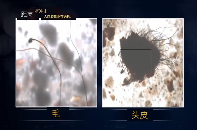 韩国查获核辐射食品,韩国疯牛病事件