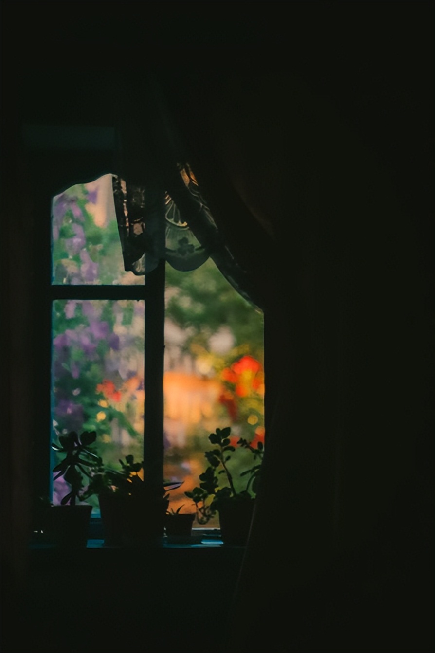 如何走出自己的迷茫和悲伤,越来越迷茫不知道自己该怎么办