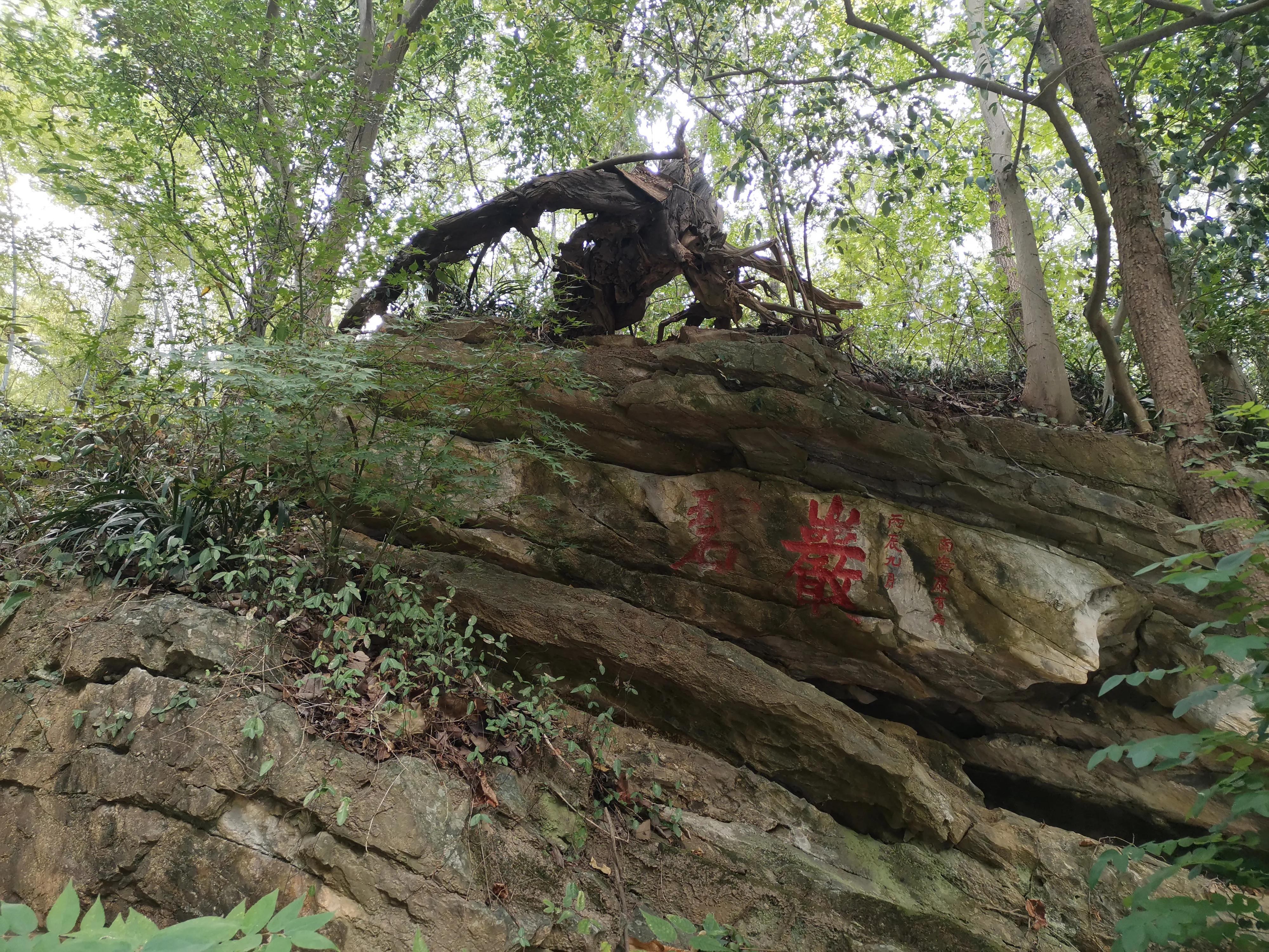 南京出发到镇江一日游跟团多少钱,南京去镇江旅行攻略路线