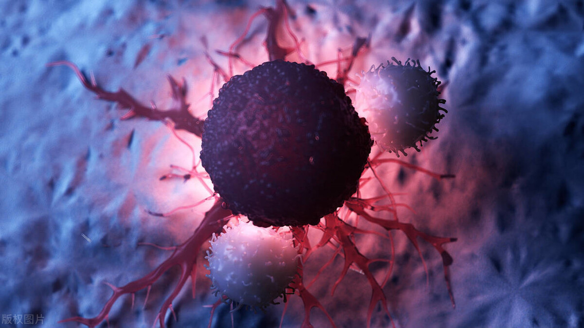 女性感染hpv有什么症状,女性感染hpv有哪些症状