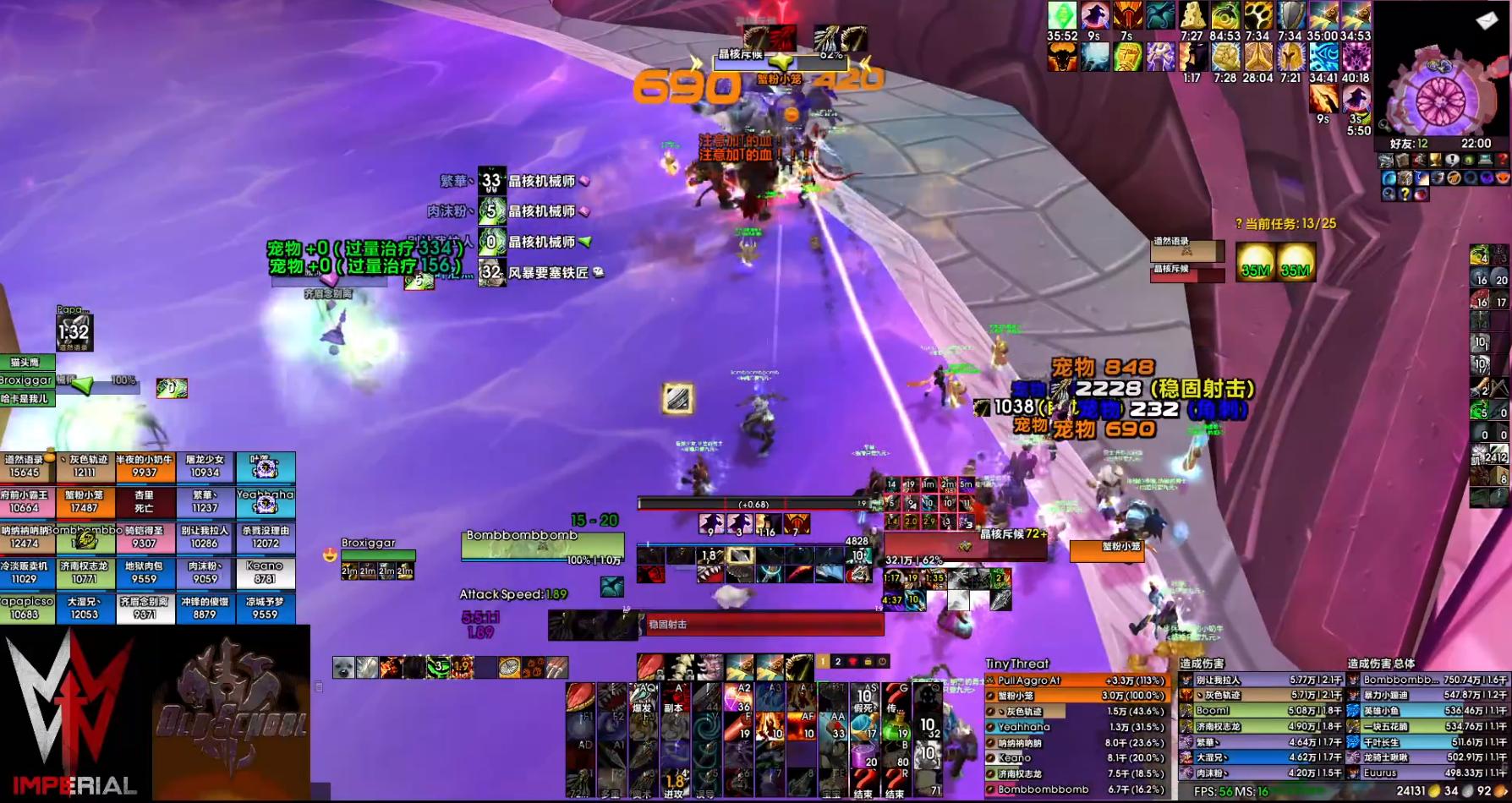 魔兽tbcp3部落优势,魔兽世界tbc兽王猎带什么宝宝