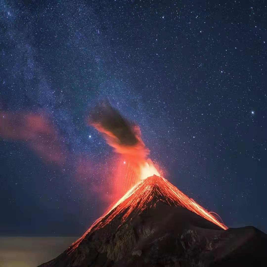 期货庄家如何割韭菜,游资割韭菜的最佳方法