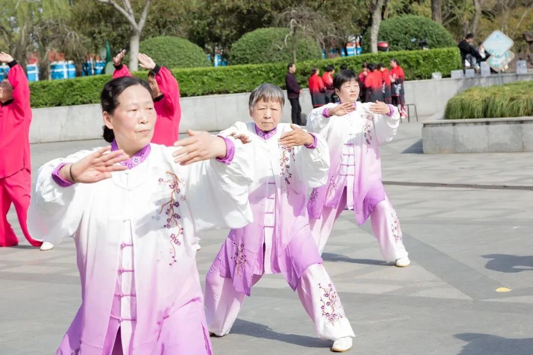 2023年“高东杯”龙身蛇形太极拳比赛在高东公园圆满举行