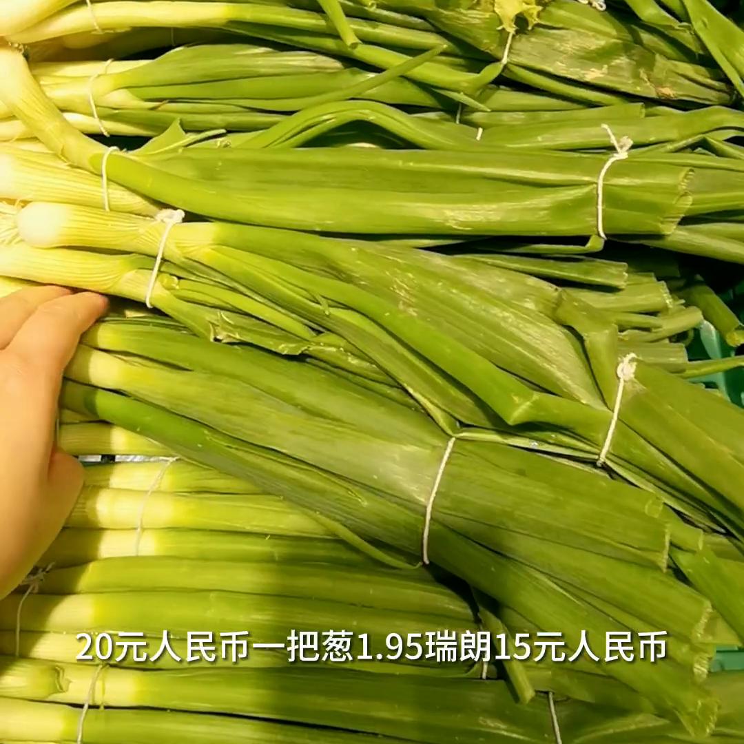 瑞士必知的物价,瑞士苏黎世每天生活费多少钱