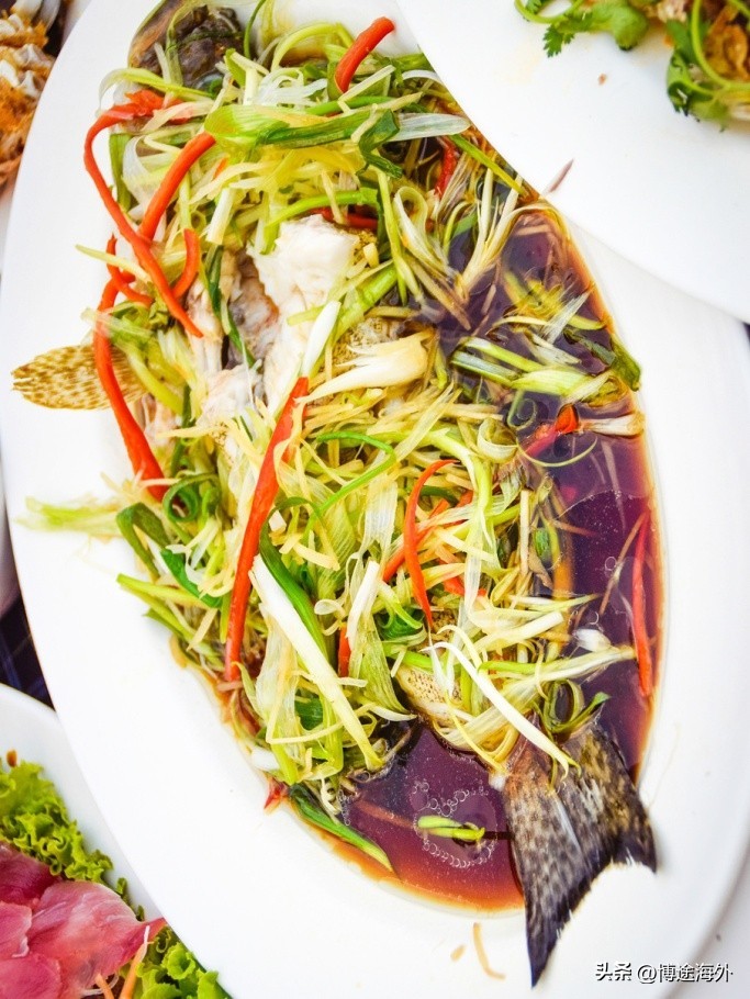 普吉岛海钓出海攻略视频,普吉岛海钓项目大全