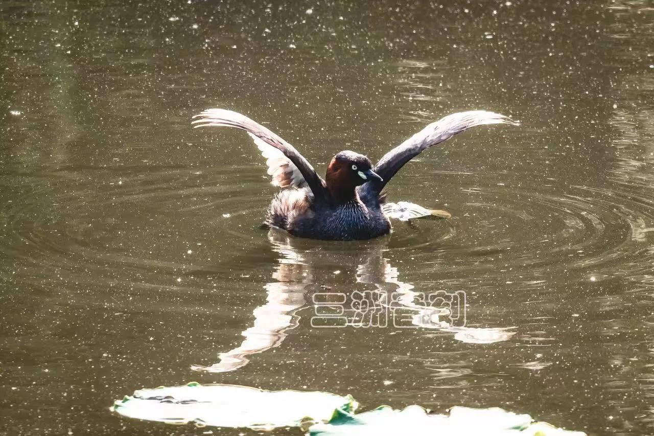 上海国际汽车城安亭,上海市嘉定区安亭国际汽车城
