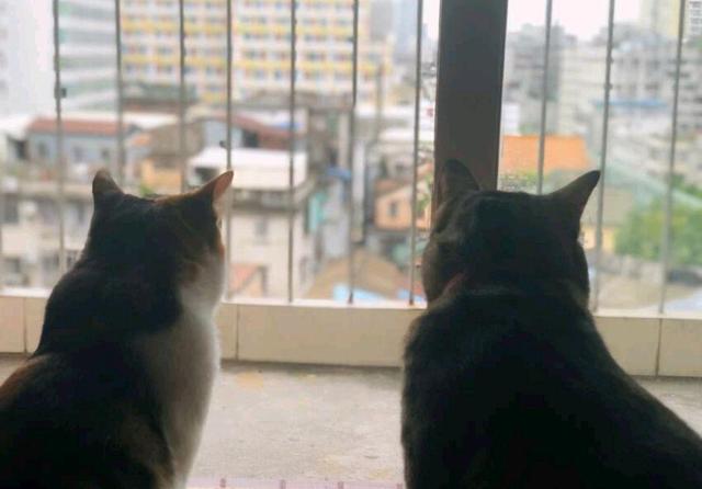 线上超市过年囤货,线上线下囤年货活动