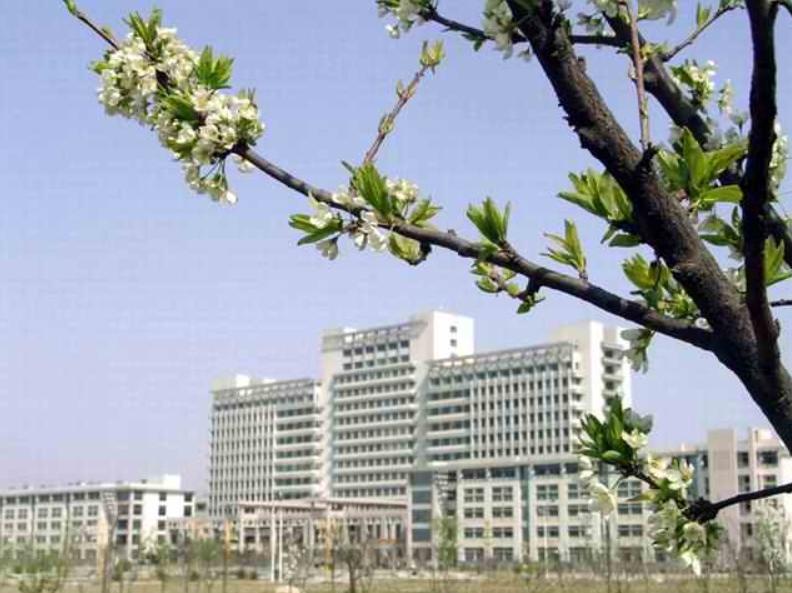 山东医学院临床医学专业,山东第一医科大学停招了哪些专业