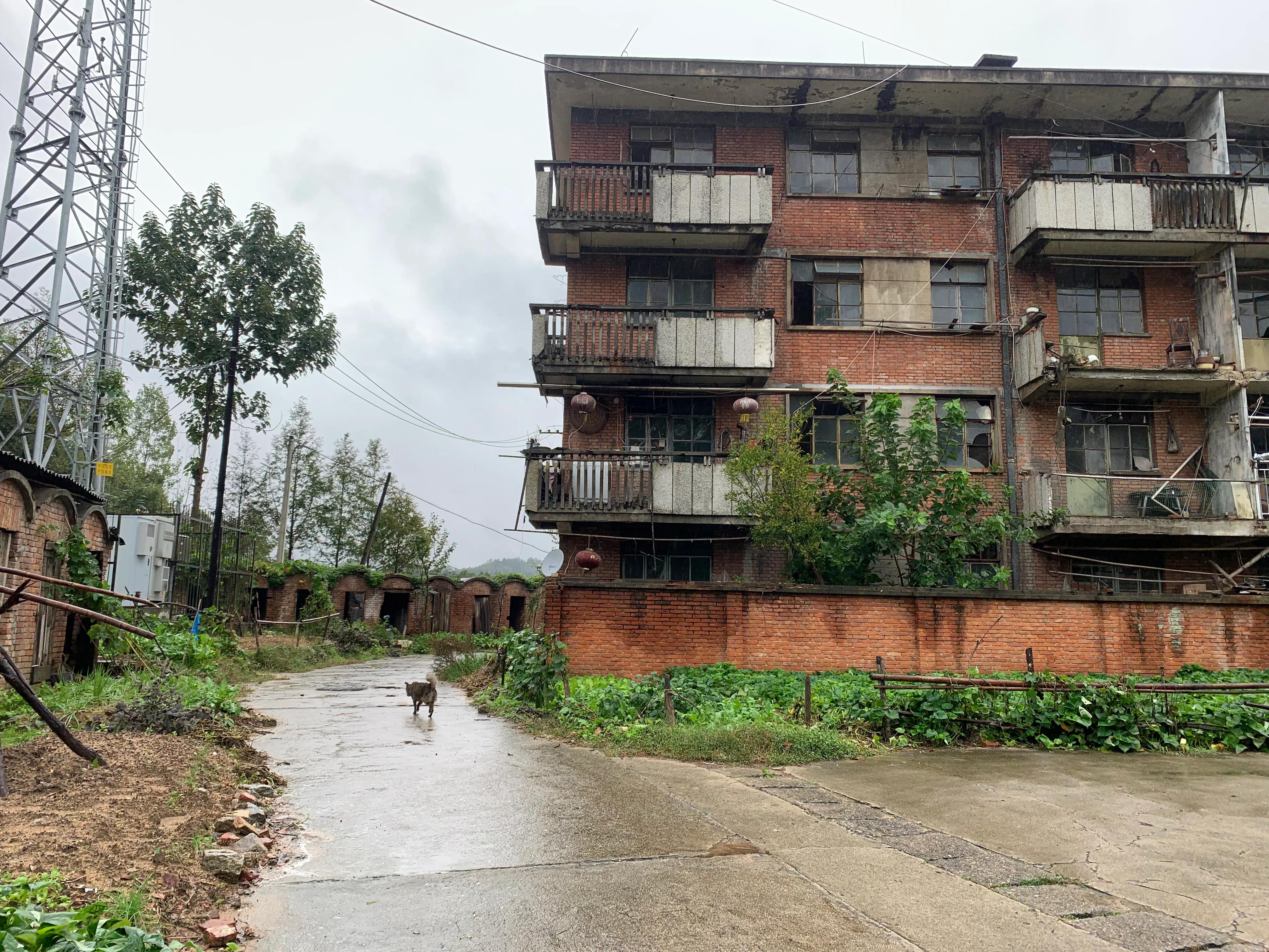 探访赣深铁路建设者,探访三线建设之纳溪