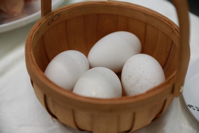 养鹅鹅蛋可以卖钱吗,养鹅鹅蛋多少钱一个