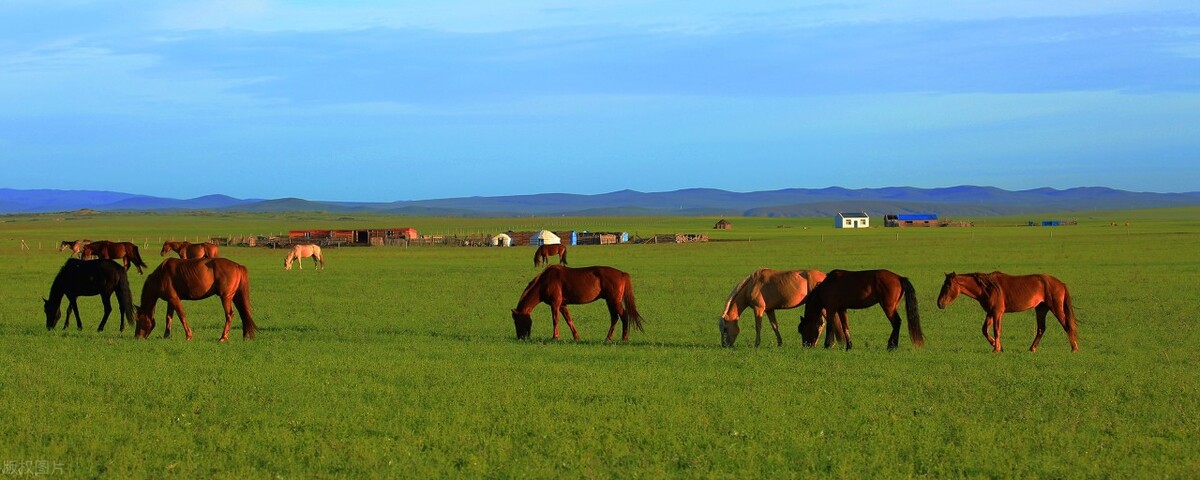 内蒙古自由行三日游攻略,内蒙古6日游自由行旅游攻略