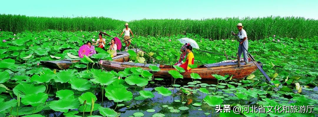 明星来保定视频,明星来河北