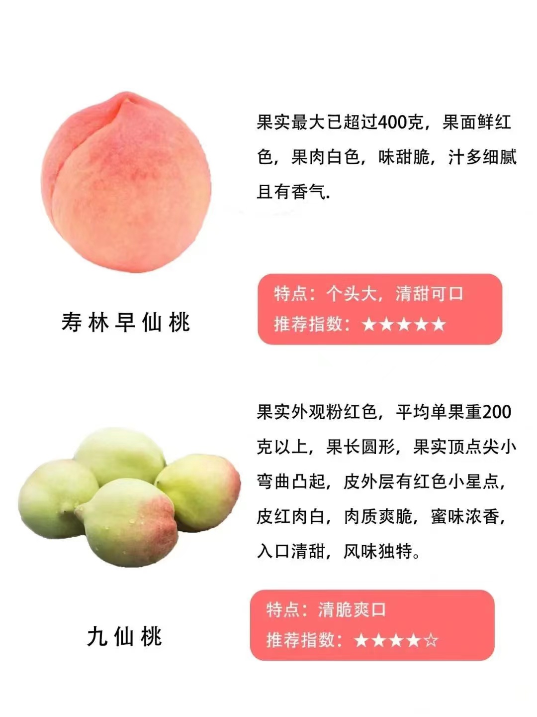 遵义桃子的品种和特点,常见的桃的品种区别有哪些