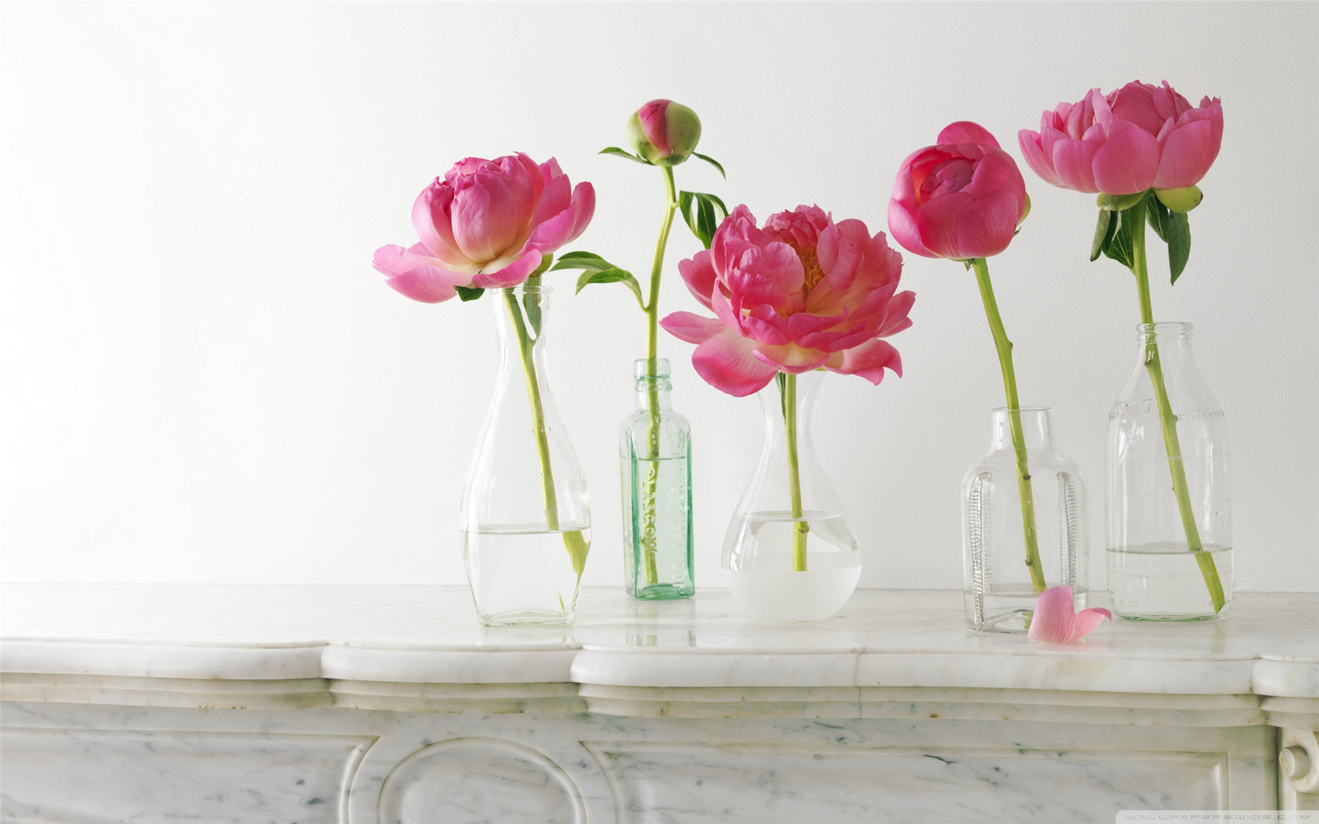 当你身边有对父母不懂孝顺的人,对父母做不到5件事就是假孝顺