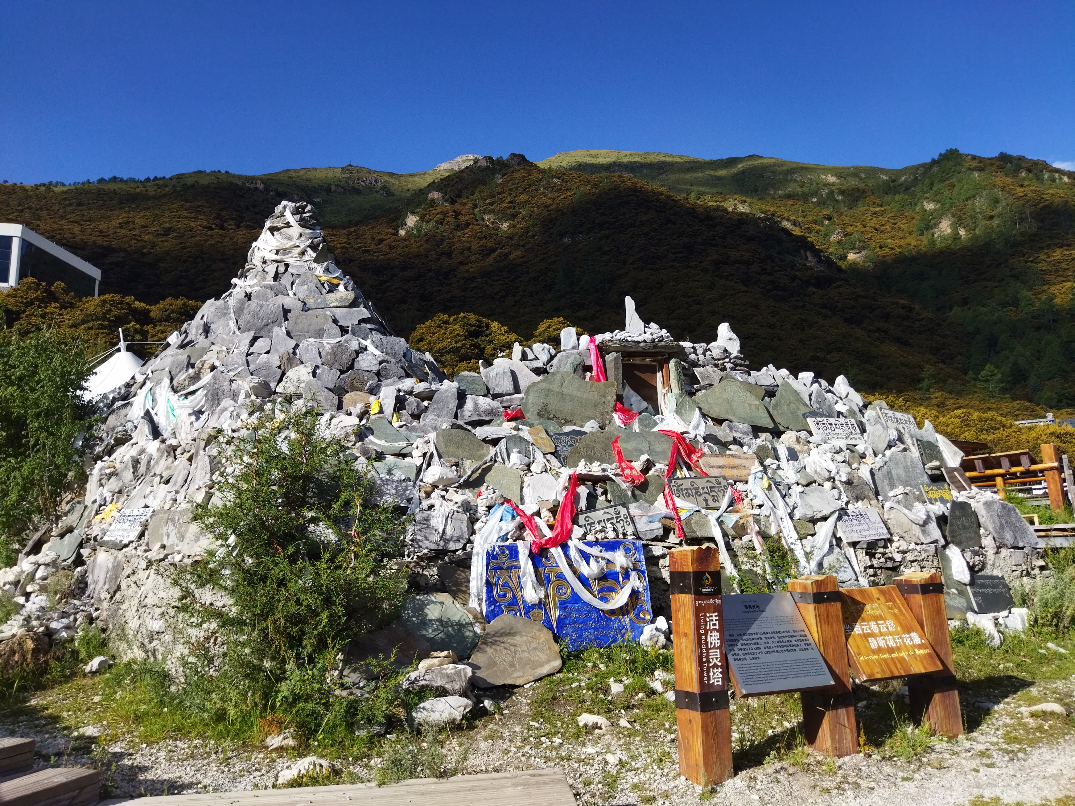 四川旅游攻略12月稻城亚丁,新都桥鱼子西攻略