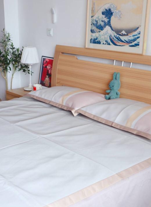 乳胶凉席藤席草席哪个好,乳胶席冰丝席藤席哪种好