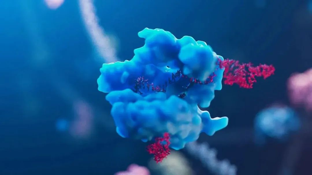 基因治疗突破地贫根治瓶颈，大龄患者不再靠输血“续命”！