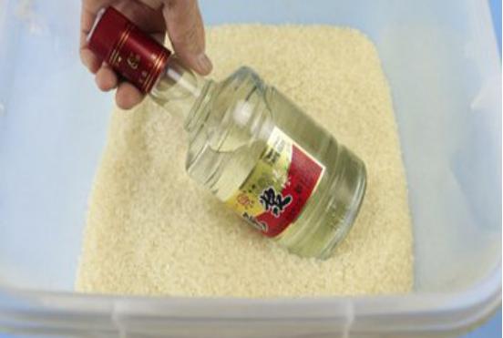 大米长虫怎么办最好方法,已经长虫的大米怎么赶走米虫