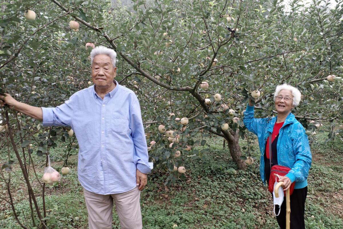 老秦被谁惹生气了,老秦喝酒发飙