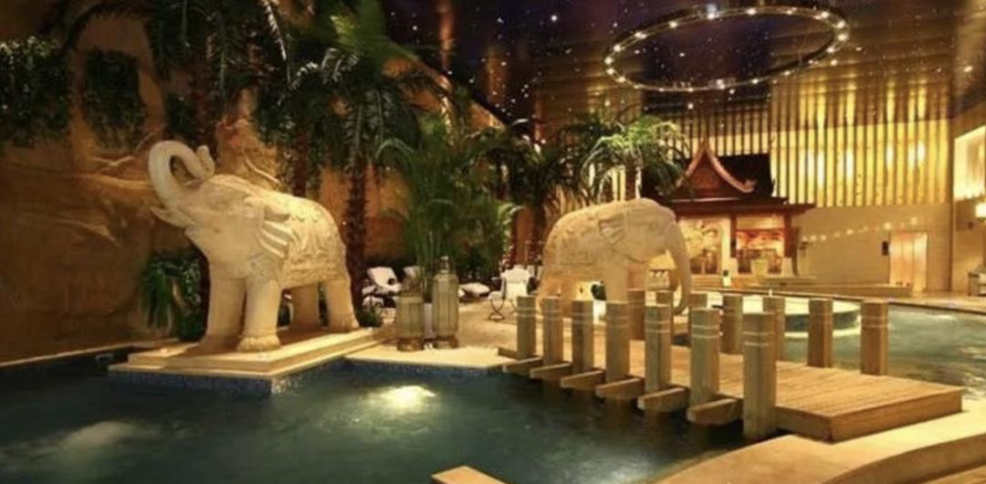 抗疫中药获得成功利好红日吗,抗疫神药麻黄