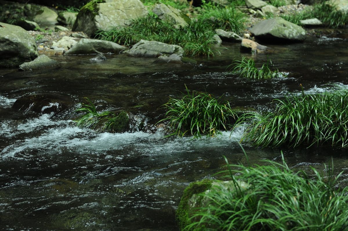 原浆酒鬼酒与馥郁香的区别,天人共酿基酒
