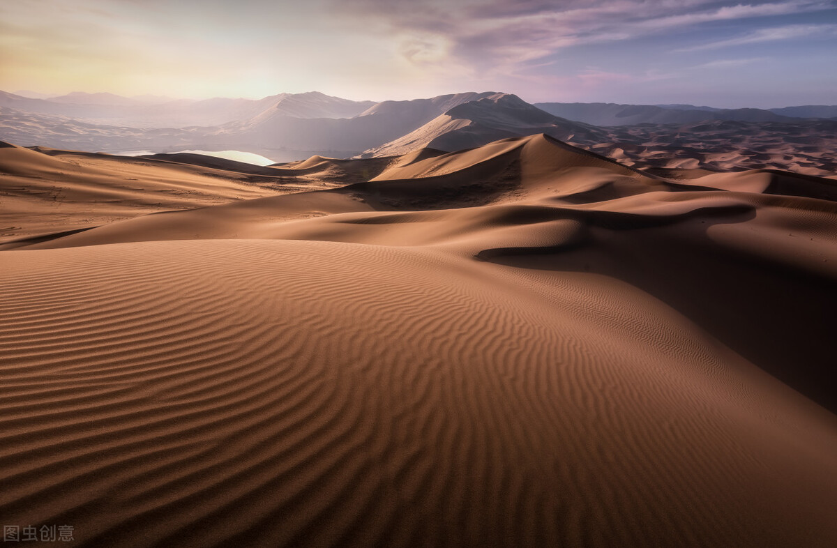 让尸体开口说话查案,让尸体说话纪录片