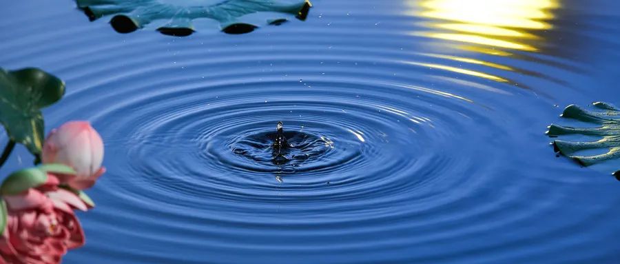 李白经典的诗词名句大全,李白美到极致的诗句