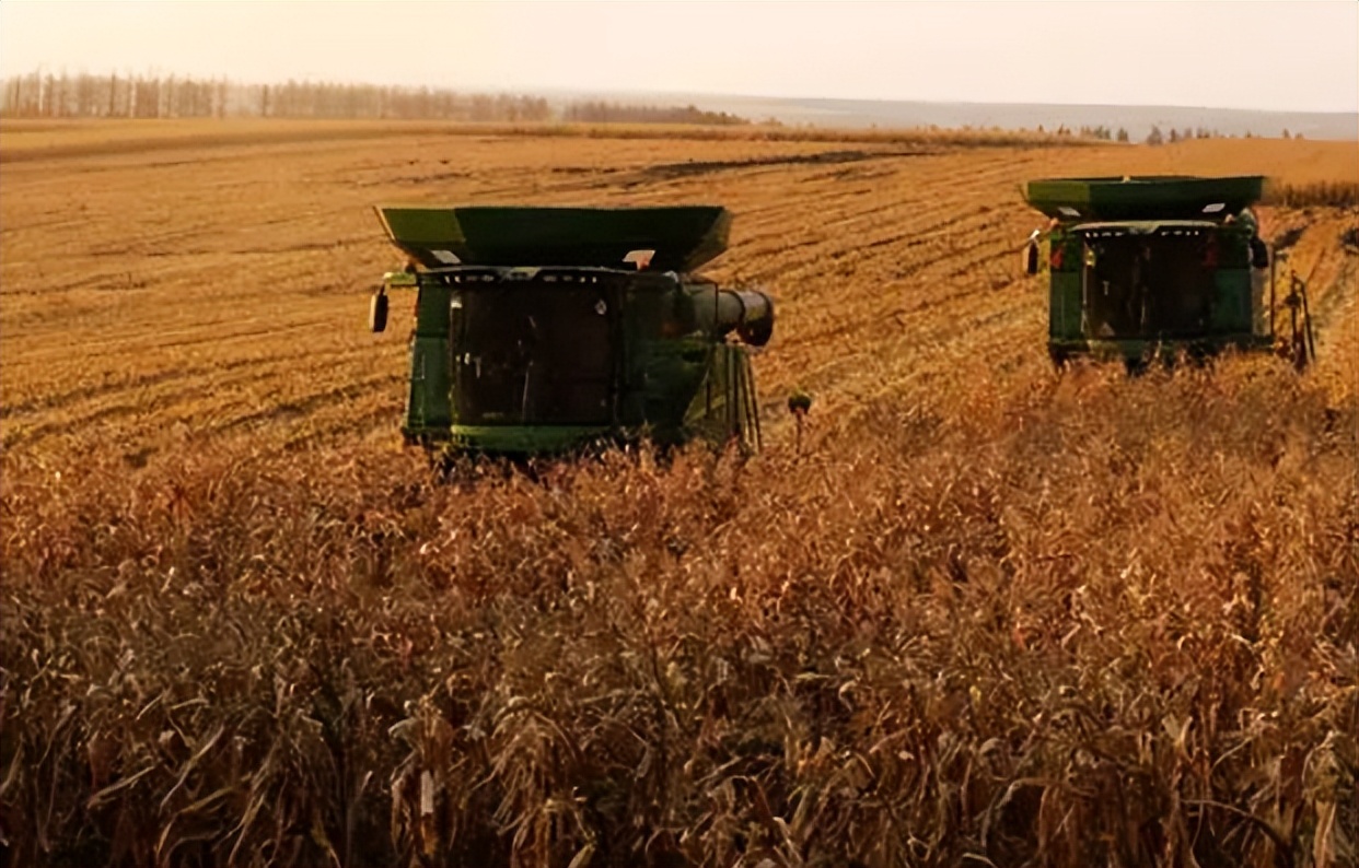 北大荒垦荒什么时候开始的,北大荒退耕还荒原因