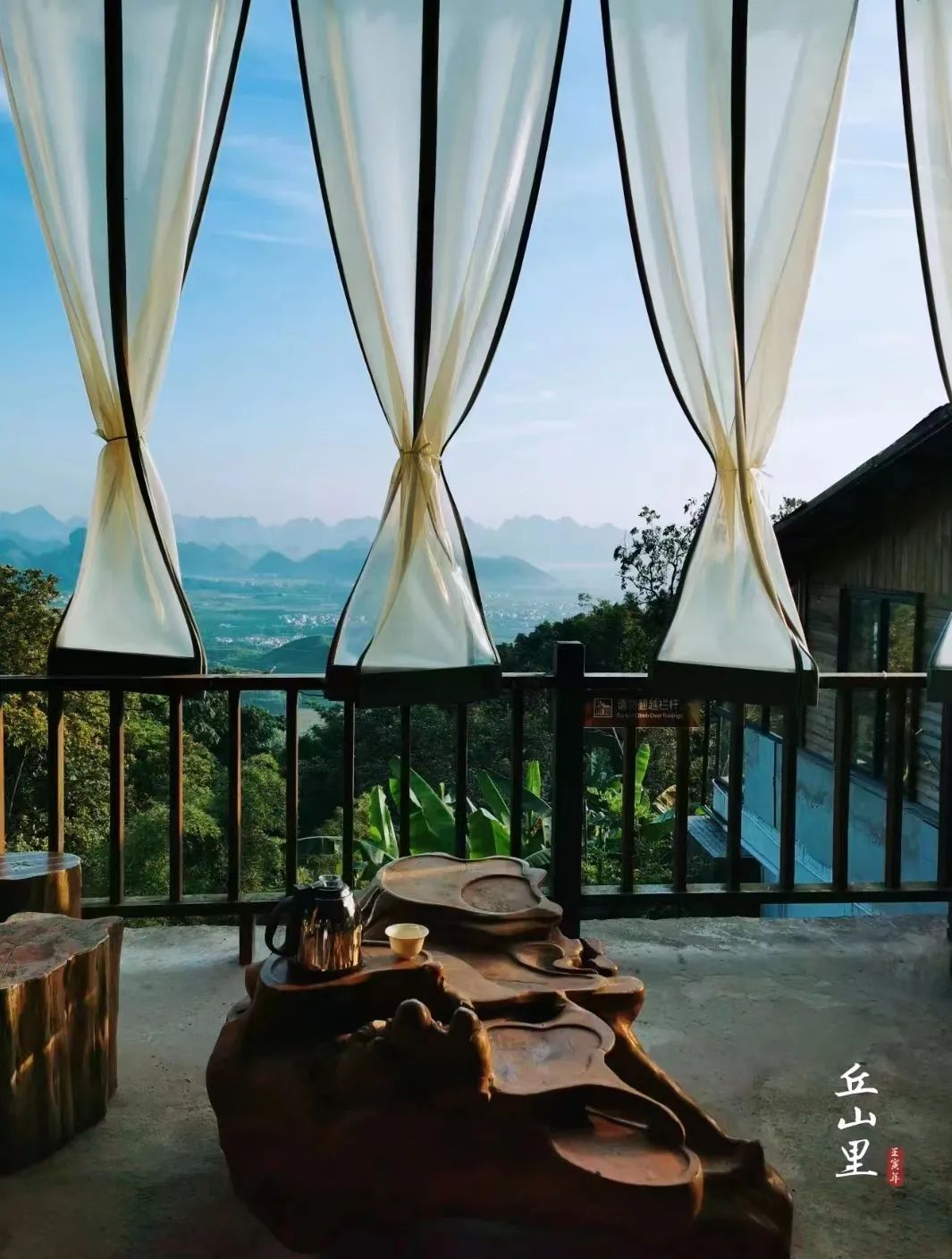 猫咪走太空步原视频最火,猫咪壁虎漫步视频