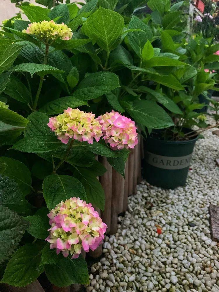 两家共用一个平台怎么解决,两家共用一堵墙发生矛盾怎么处理