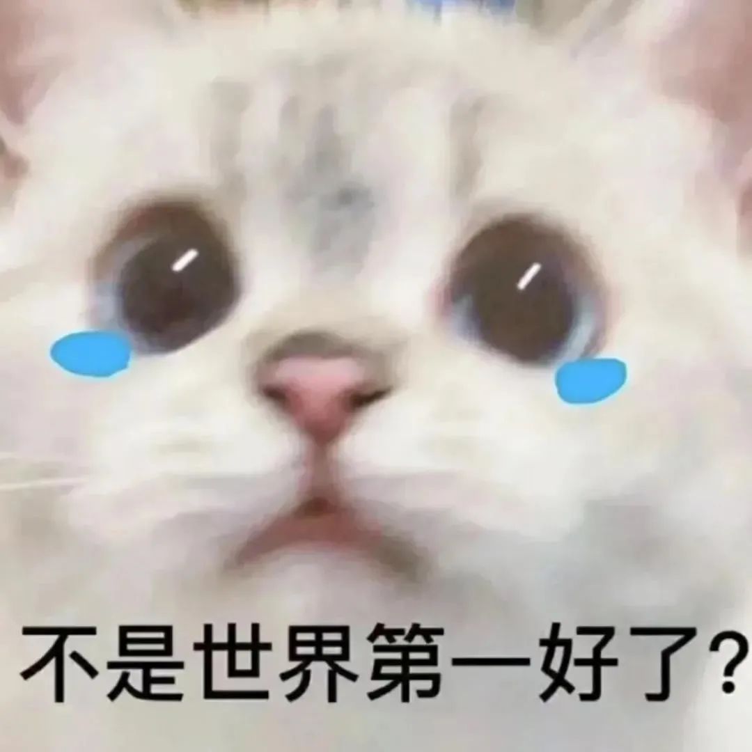 有关温柔和浪漫的表情包,浪漫而不烂俗的表情包