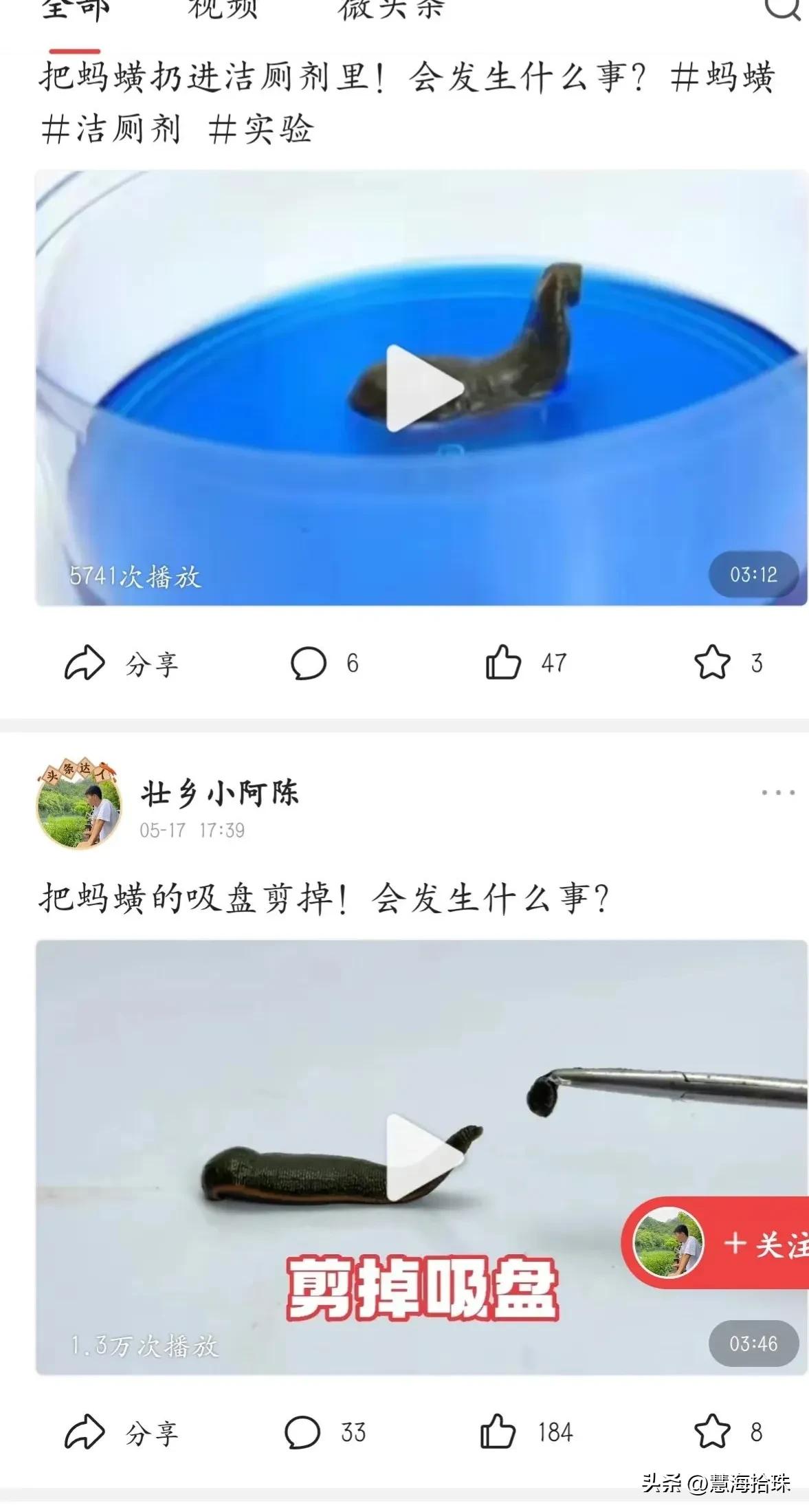 为什么有些人喜欢杀动物,为什么有人会虐猫或虐狗