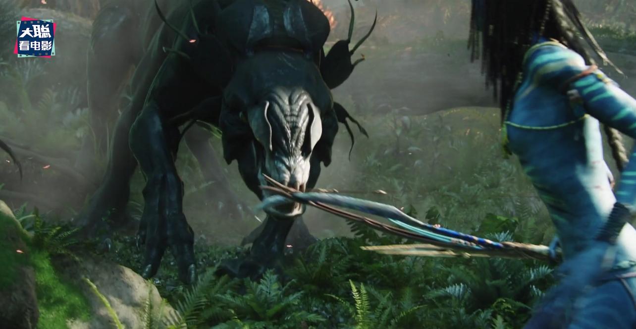 阿凡达解密,阿凡达2详细攻略大全