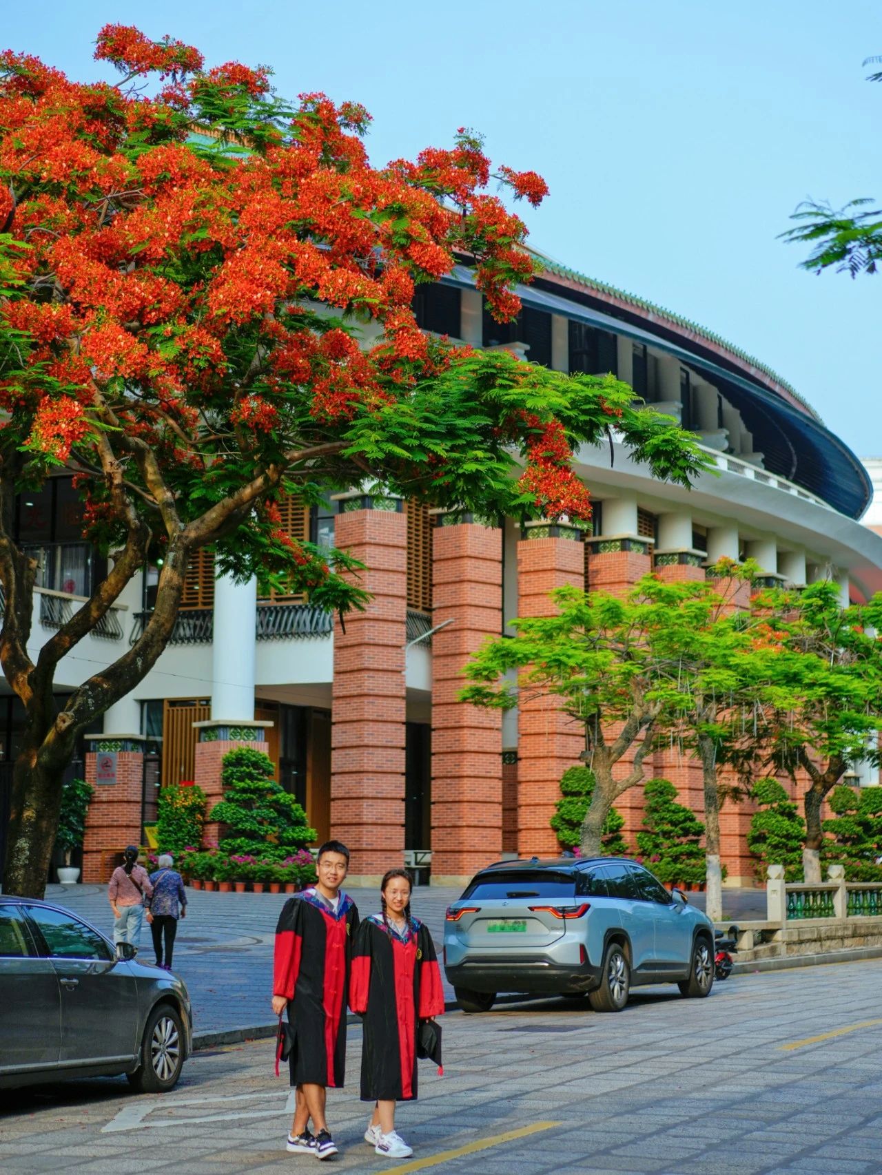 厦大蓝x凤凰花，何止灿烂！